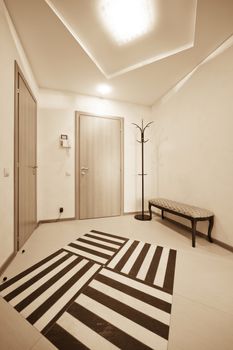 beautiful corridor with a door in a modern apartment