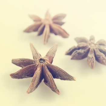 Anise stars in vintage retro tone