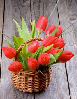 Wicker Basket with Spring Magenta Tulips and Green Grass isolated on Rustic Wooden background