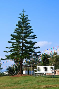 pine tree with white chair