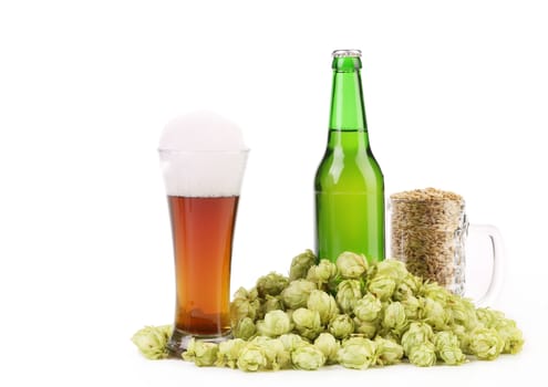 Composition of hop and barley. Isolated on a white background.