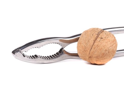 Walnut and nutcracker. Isolated on a white background.