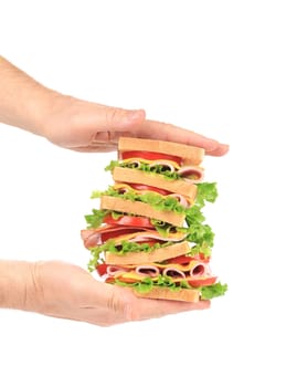 Hands holding tasty sandwich. Isolated on a white background.