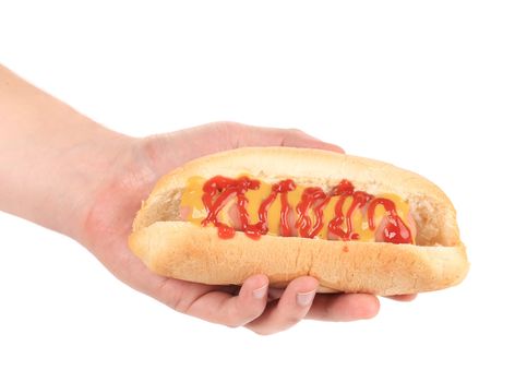 Hand holding hot dog. Isolated on a white background.