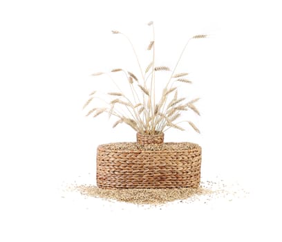 Wheat ears in basket. Isolated on a white background.