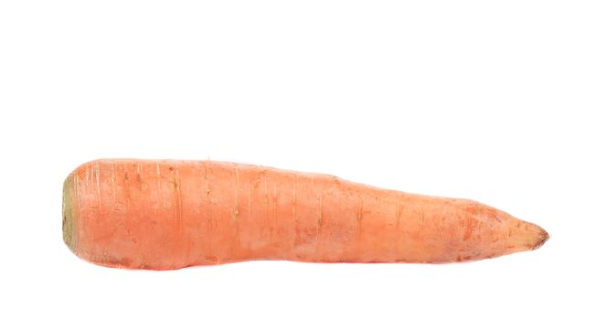 Fresh carrot. Isolated on a white background.