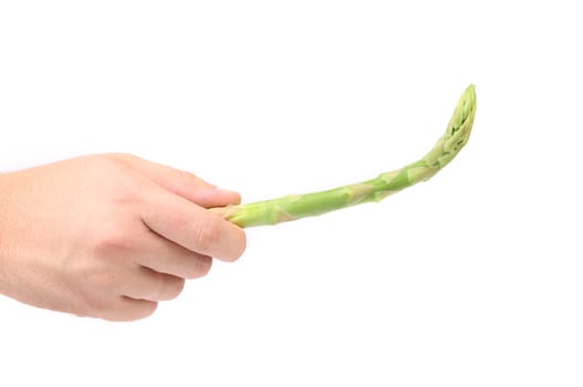 Hand holds fresh green asparagus.