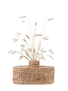 Wicker vase with wheat ears. Isolated on a white background.