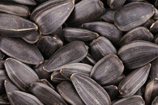 Organic sunflower seeds.