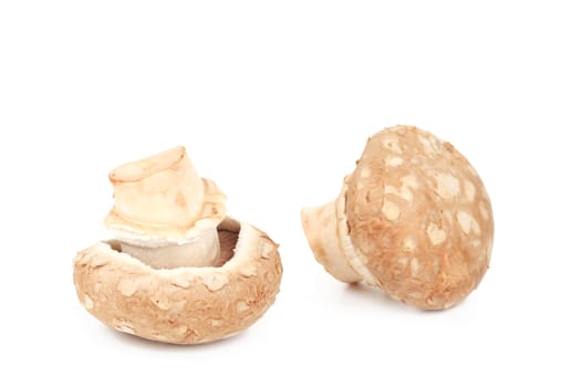 Fresh mushroom champignon. Isolated on a white background.