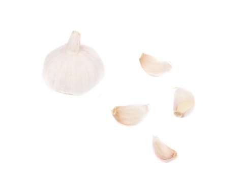 Fresh garlic whole and cloves. Isolated on a white background.