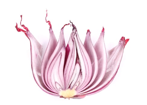 Close up of red onions half. Isolated on a white background.