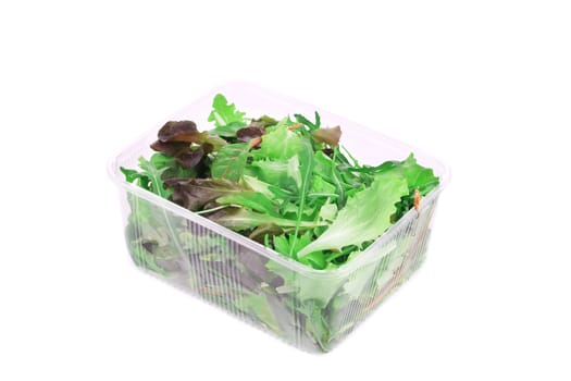 Green and Red Leaf Lettuce. Isolated on a white background.