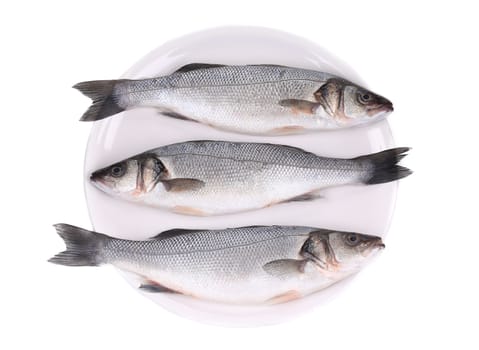 Three fresh seabass fish on plate. Isolated on a white background.