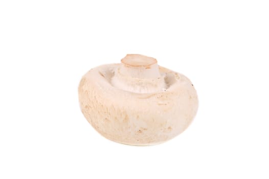 White mushroom close up. Isolated on a white background.