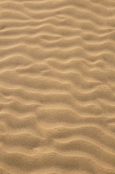 Texture Sand Dune Desert in Gran Canaria Island Spain