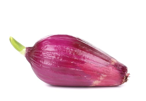 One red onion peeled. Isolated on a white background.