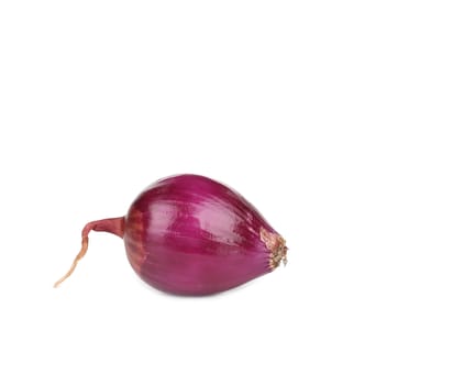 One red onion. Isolated on a white background.