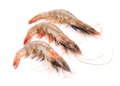 Three raw shrimp. Isolated on a white background.