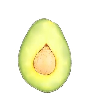 Ripe avocado. Isolated on a white background.