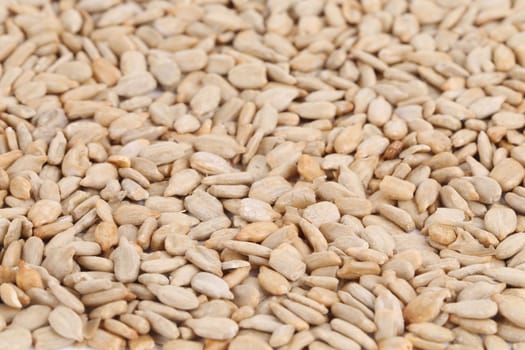 Sunflower seeds background. Located on the whole background.