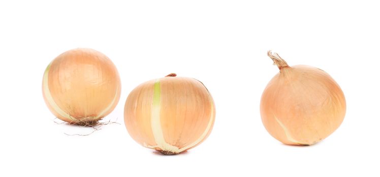 Three ripe onions. Isolated on a white background.