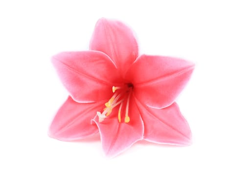 Pink artificial flower. Isolated on a white background.