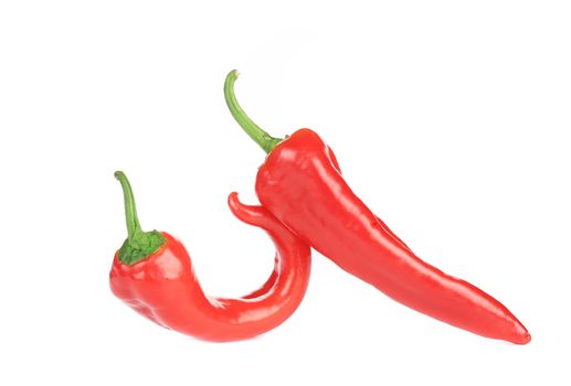 Two raw chili peppers. Isolated on a white background.