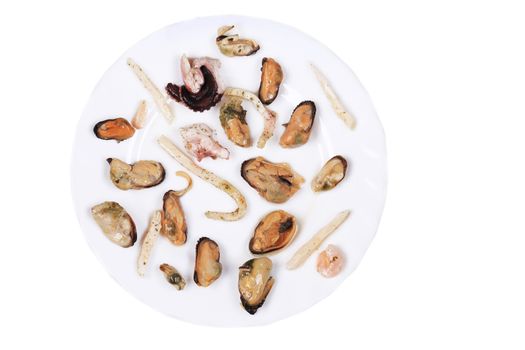 Seafood on the plate. Isolated on a white background.