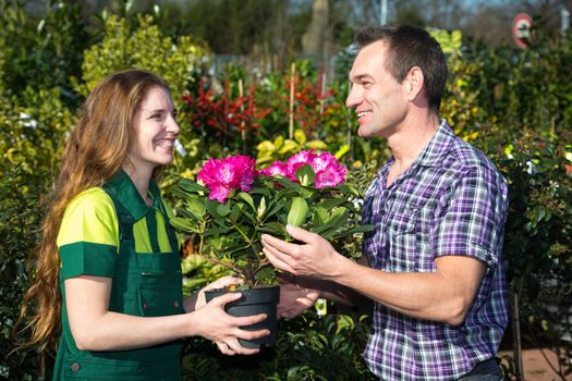 Female florist hands flower to customer in nursery or market garden