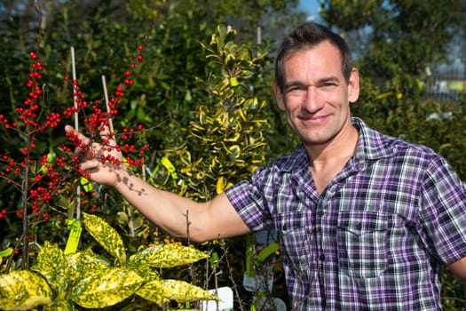 Farmer or gardener examines bush with berries