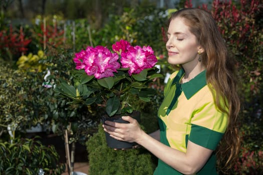 Florist smelling at blossoms of potted plant or flower