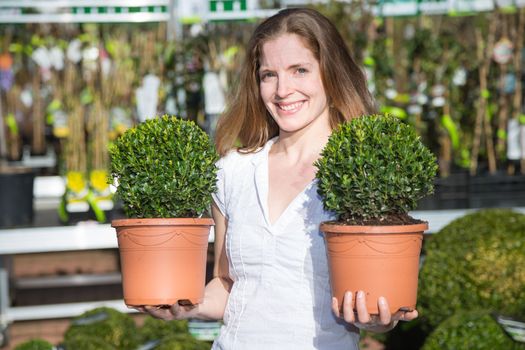 Customer or client in garden center posing with two boxtrees