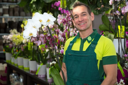 Florist in flower shop posing with an orchid