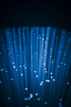 Fiber optics close-up, modern computer communication technology