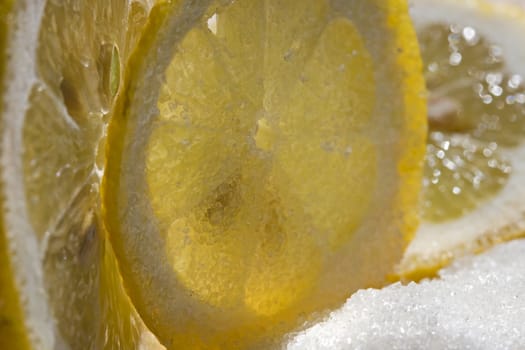 close-up cutting juicy lemons with sugar backlit