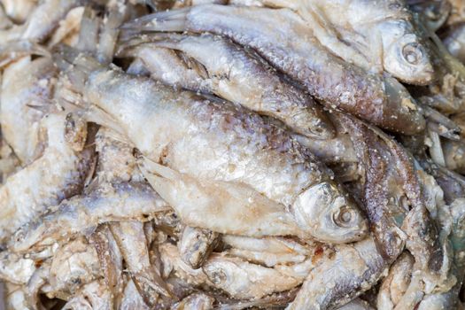 food - closed up stinking fermented fish