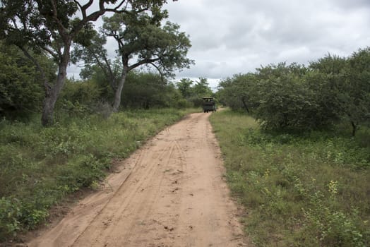 open car in south arica safari park