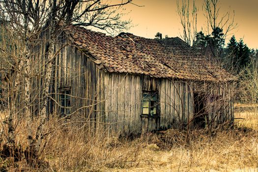 a old abandoned cabin in the forrest