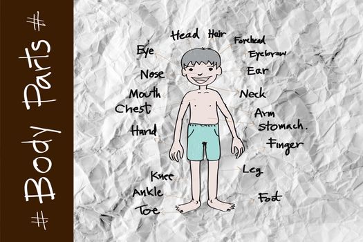 part of body vocabulary in illustration on crumpled paper