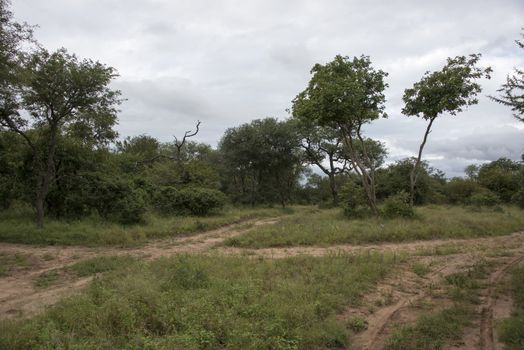 nature reserve in south africa near hoedspruit