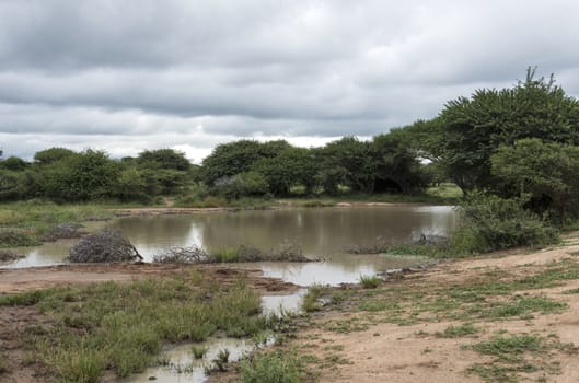 nature area with water in reserve south africa