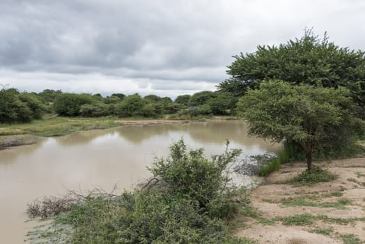 nature area with water in reserve south africa