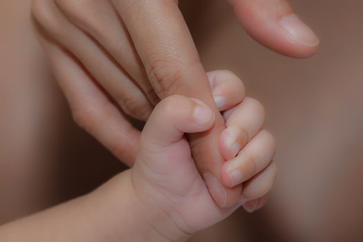 Love is not a dream concept of love. hands of mother and baby closeup