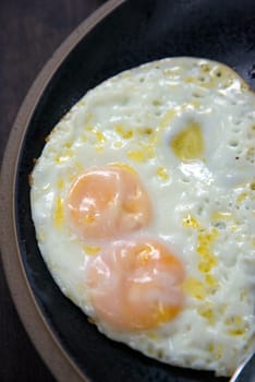 fried egg 

