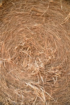 close up detailed view of stack of hay