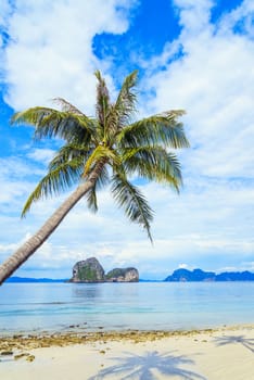 Coconut tree and beach at Ngai Island, an island in the Andaman Sea, Thailand