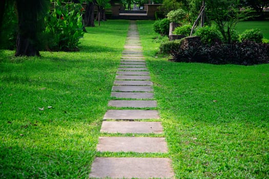 Walk way in the garden