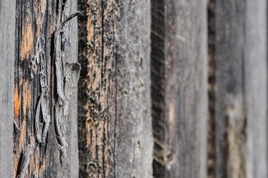 cracked aged weathered wooden boards, selective focus