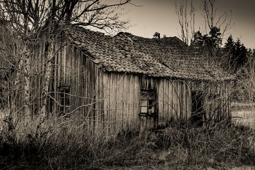 old abadoned cabin in the wood